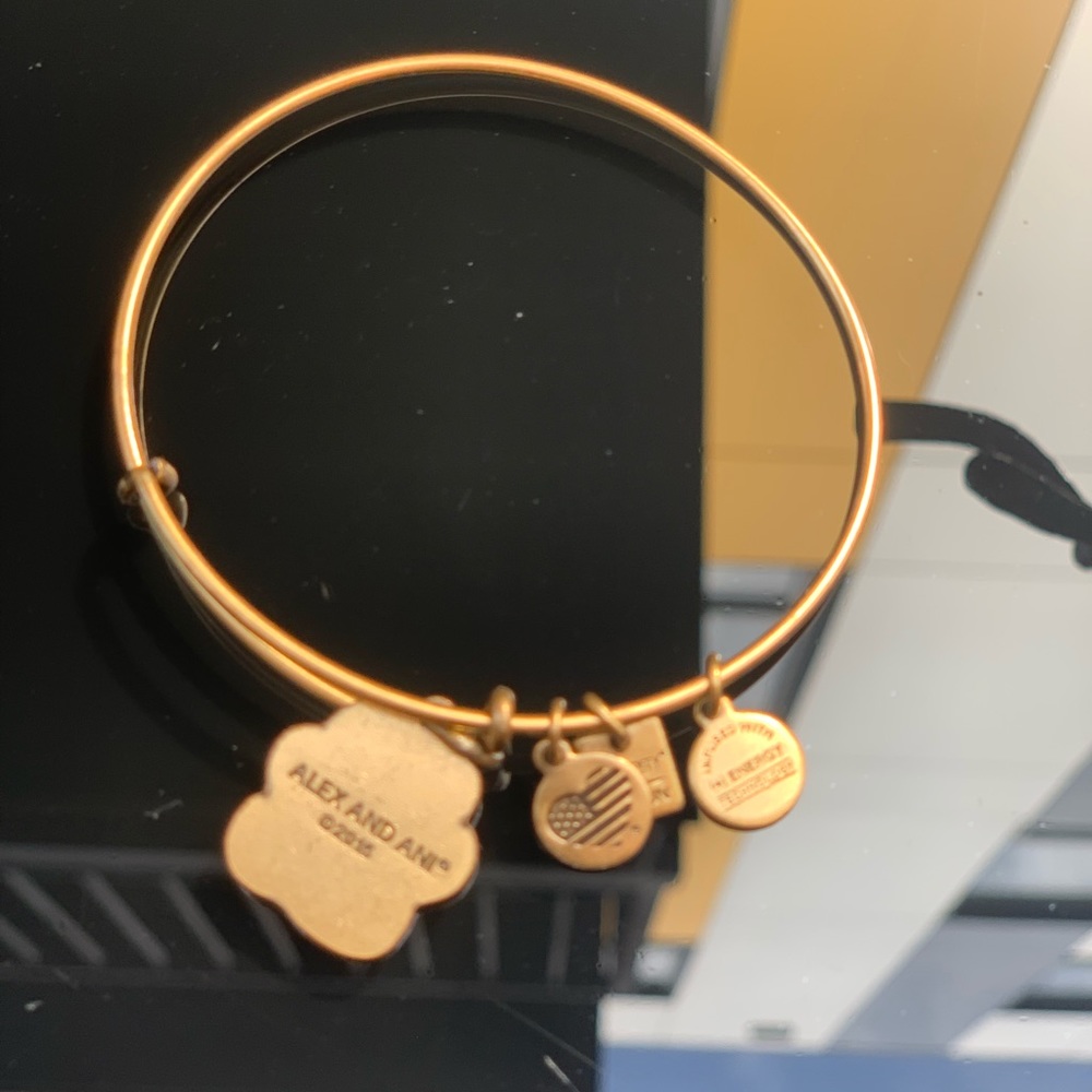 Alex & Ani Gold Bangle Bundle - Picture 8 of 8